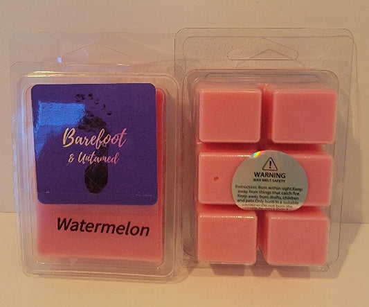 Watermelon Premium Soy Wax Melt