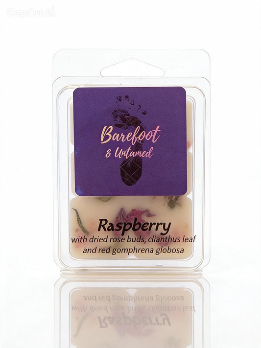 Raspberry Soy Wax Melt